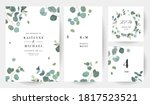 herbal eucalyptus selection... | Shutterstock .eps vector #1817523521
