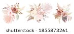 trendy dried palm leaves  blush ... | Shutterstock .eps vector #1855873261