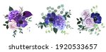 marvelous violet  purple and... | Shutterstock .eps vector #1920533657
