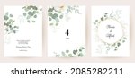 herbal eucalyptus selection... | Shutterstock .eps vector #2085282211