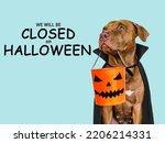 Small photo of Signboard with the inscription We will be closed on Halloween. Lovable brown dog and bright background. Close-up, indoors. Studio shot. Pet care concept