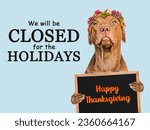 Signboard that says We will be closed on Thanksgiving. Charming brown puppy and bright background. Close-up, indoors. Studio shot. Pet care concept