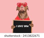 I Love You. Lovable dog and congratulatory inscription. Closeup, indoors. Studio shot. Congratulations for family, relatives, loved ones, friends and colleagues. Pet care concept