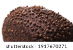 Small photo of Extreme close up macro view of beautiful loaf of black bread with sprinkles spinn on white background. Fresh bread, just from the oven on turntable isolated.