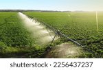 Small photo of Aerial view pivot at work in potato field, watering crop for more growth. Center pivot system irrigation. Watering crop in field at farm. Modern irrigation system for land and vegetables growing on it