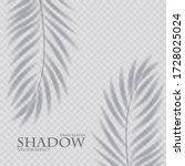 palm leaf shadow transparent... | Shutterstock .eps vector #1728025024