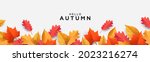 autumn seasonal background with ... | Shutterstock .eps vector #2023216274