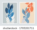 botanical poster design ... | Shutterstock .eps vector #1705201711