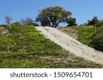 Small photo of Uphill Dirt Track through a Meadow in Bloom in Yanga National Park