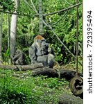 Small photo of male gorilla sitting eating while his young son is sitting behind him with his back to him , head resting against a wooden post as if in he has been told off