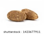 Small photo of Brazilian potato known as yam, white background. In some places, it is common to refer to the following species Alocasia, Colocasia, Xanthosoma and Ipomoea, also as yam. Their tubers are also called y