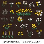 set of summer flowers... | Shutterstock .eps vector #1624476154