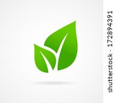 eco icon green leaf vector... | Shutterstock .eps vector #172894391