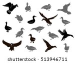 set of flying wild ducks. duck... | Shutterstock .eps vector #513946711