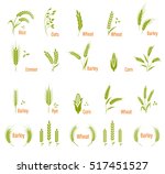 cereals icon set. concept for... | Shutterstock .eps vector #517451527