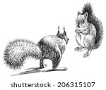 Squirrel jumping away image - Free stock photo - Public Domain photo ...