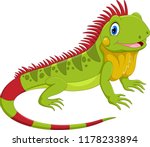 Cute Iguana Cartoon
