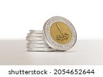Egyptian pounds coins on white...