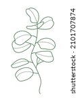 eucalyptus branch vector in... | Shutterstock .eps vector #2101707874