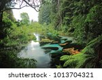 Serene and tranquil atmosphere provided by clear water springs and thriving aquatic plants at the upper reach of the stream of Hamurana Springs in Rotorua, New Zealand.