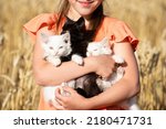 Small photo of Close-up girl with three kittens, two white kittens and one black. Zoology, holding cats. Summer photo for calendar and design