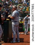 Small photo of Oakland, California - August 28, 2021: New York Yankees third base coach Phil Nevin talks with other Yankees coaches during a game against the Oakland Athletics at RingCentral Coliseum.