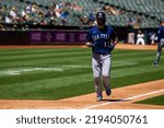Small photo of Oakland, California - August 21, 2022: Seattle Mariners outfield Mitch Haniger runs the bases after hitting a home run against the Oakland Athletics at the Oakland Coliseum.