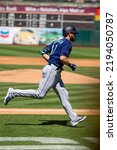 Small photo of Oakland, California - August 21, 2022: Seattle Mariners outfield Mitch Haniger runs the bases after hitting a home run against the Oakland Athletics at the Oakland Coliseum.