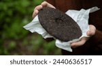 Small photo of Cropped view of man holding round flat disk of shu puer outdoors