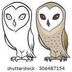 Barn Owl Or Tyto Alba   Vector...