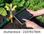 A Gardener Hands With A Digital ...