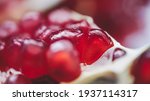  pomegranate close up view   ... | Shutterstock . vector #1937114317