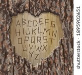 Alphabet letters carved into a tree with heart shape cut out.  Easy to edit font for your design. Vector illustration for Valentine