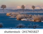 Small photo of Snow-covered plants on a small mound in the water of the Kleiputte biotope in Brake Unterweser (Germany) on a sunny winter morning