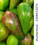 Small photo of Long Pear shape Avacado / Pinkerton Avacado