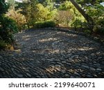 Curving path of stone cobbles through wooded area
