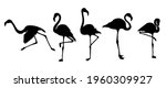flamingo black silhouette ... | Shutterstock .eps vector #1960309927