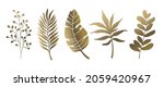 set of beautiful gold leaves... | Shutterstock .eps vector #2059420967