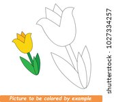 Beautiful Yellow Tulip To Be...