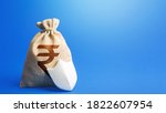 Small photo of Indian rupee money bag and protection shield. Guaranteed deposits compensation. Ease doing business. Strength of financial system. Sustainable banks. Fixed interest deposit. Investment safety.