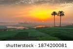 Small photo of Egyptian countryside colorful sunrise view in a foggy day. Two palm trees in a big field and a water channel.