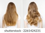 Small photo of Closeup Before after Caucasian hair type back view isolated on white background. Before-after Straight long light brown healthy clean hairstyle, wavy curly iron curled. Shampoo concept. Nature beauty