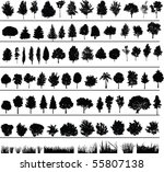 set of silhouettes of trees ... | Shutterstock . vector #55807138