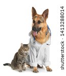 Cat And Dog With Stethoscope...