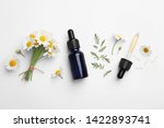Composition with chamomile flowers and cosmetic bottle of essential oil on white background, top view
