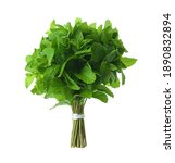 Bunch Of Fresh Mint Isolated On ...