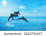 Beautiful bottlenose dolphins...