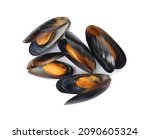 Delicious Cooked Mussels In...