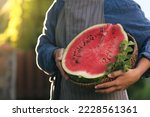 Woman holding half of delicious ripe watermelon in wicker basket with mint outdoors, closeup. Space for text