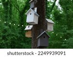 Beautiful wooden birdhouses hanging on tree trunk in forest